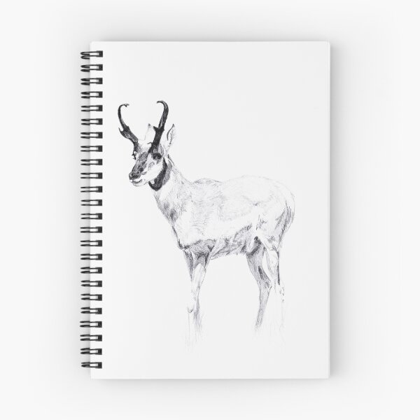 Item preview, Pronghorn designed and sold by jettmarc.