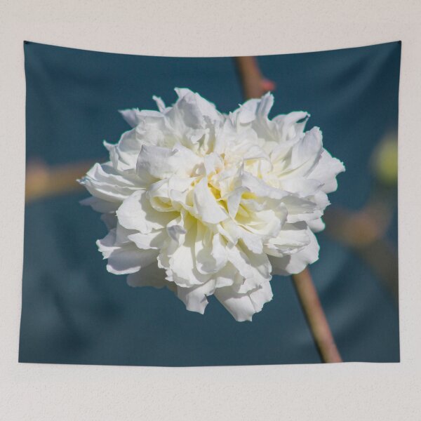 Item preview, White Explosion designed and sold by Bob Hardy.