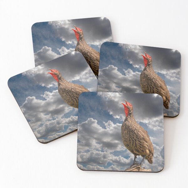 Item preview, Swainson's Spurfowl, photographed in South Africa. designed and sold by Jurie Maree.