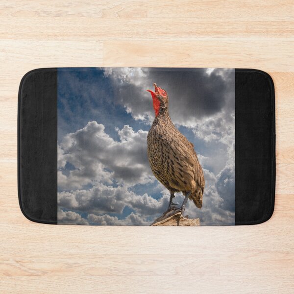 Item preview, Swainson's Spurfowl, photographed in South Africa. designed and sold by Jurie Maree.