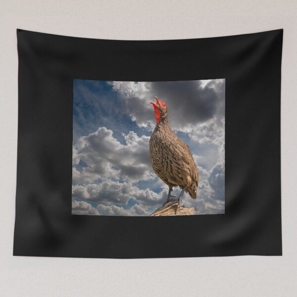 Item preview, Swainson's Spurfowl, photographed in South Africa. designed and sold by Jurie Maree.