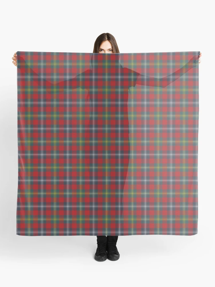 ★2023FW新作★ADERERROR★Cland plaid muffler ADER AderSpace # Shop #