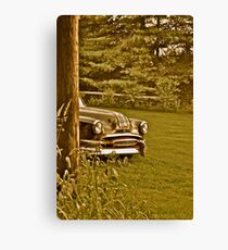 Hide and go seek Chief Canvas Print