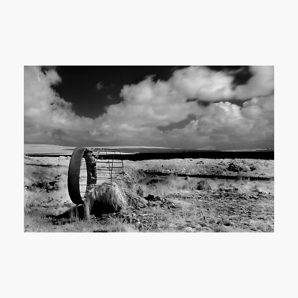 Cow Feeder - Carrowmore Lake, Mayo Photographic Print