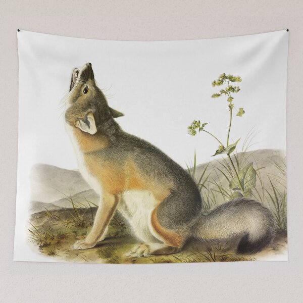 Item preview, Swift Fox - James Audubon designed and sold by billythekidtees.
