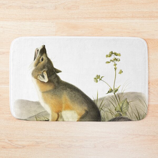 Item preview, Swift Fox - James Audubon designed and sold by billythekidtees.