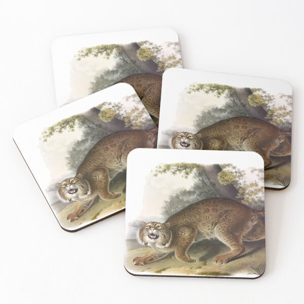 Item preview, Common American Lynx - James Audubon designed and sold by billythekidtees.