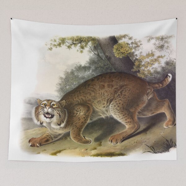 Item preview, Common American Lynx - James Audubon designed and sold by billythekidtees.