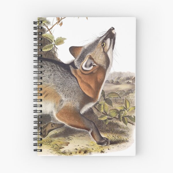 Item preview, Grey Fox - James Audubon designed and sold by billythekidtees.
