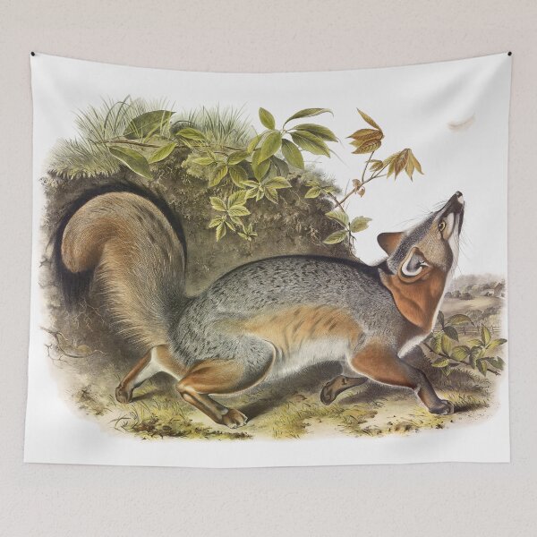 Item preview, Grey Fox - James Audubon designed and sold by billythekidtees.
