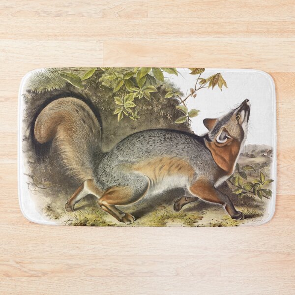 Item preview, Grey Fox - James Audubon designed and sold by billythekidtees.