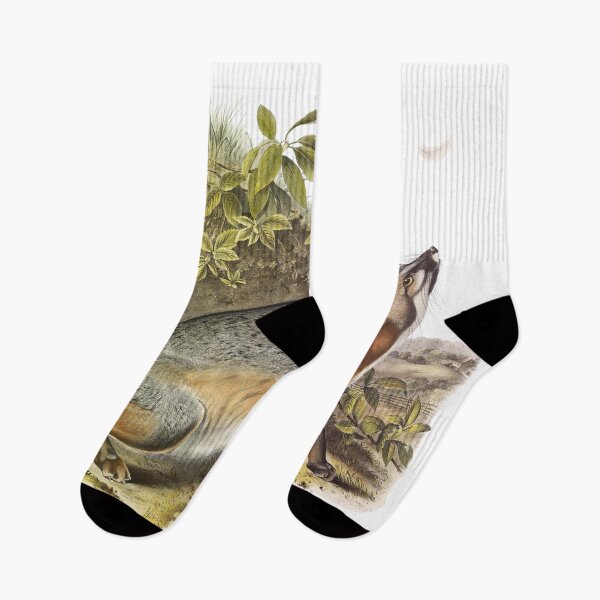Item preview, Grey Fox - James Audubon designed and sold by billythekidtees.
