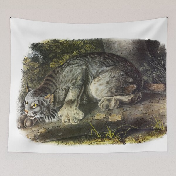Item preview, Canada Lynx - James Audubon designed and sold by billythekidtees.