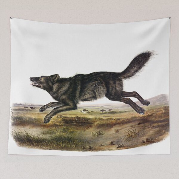 Item preview, American Black Wolf - James Audubon designed and sold by billythekidtees.