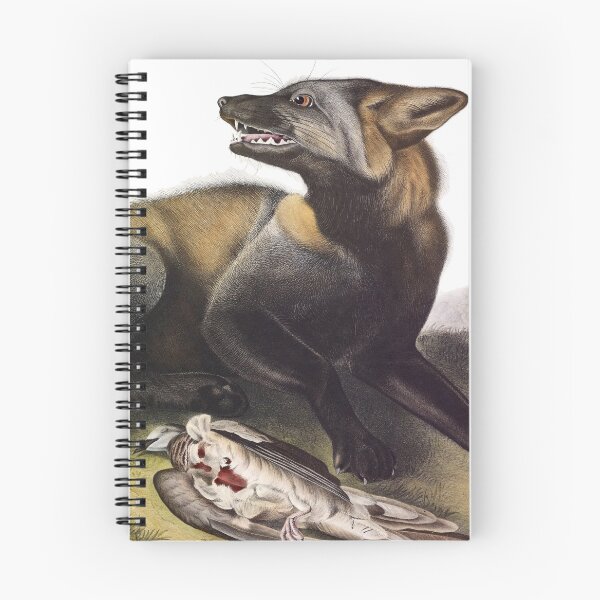 Item preview, American Cross Fox - James Audubon designed and sold by billythekidtees.
