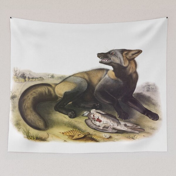 Item preview, American Cross Fox - James Audubon designed and sold by billythekidtees.