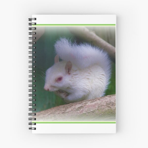 Item preview, Albino Squirrel designed and sold by ColinBoylett.