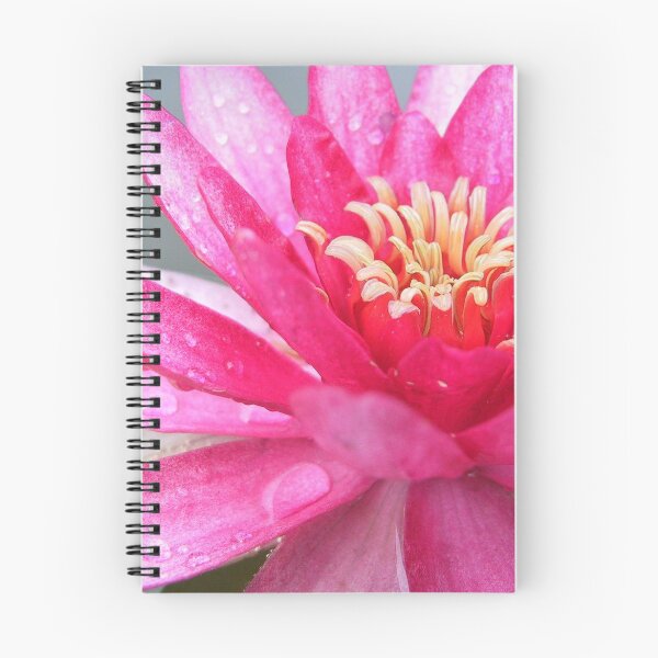 Item preview, Pink Lily designed and sold by Bami.