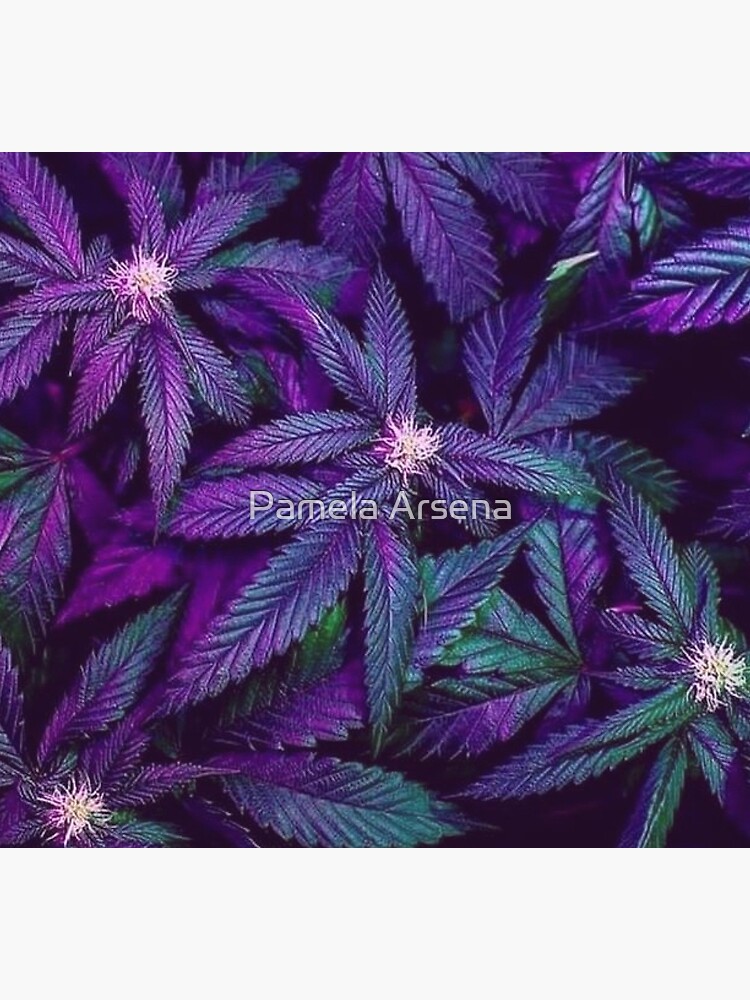 Psychedelic Purple Cannabis Marijuana Weed Pot Leaves by xpressio