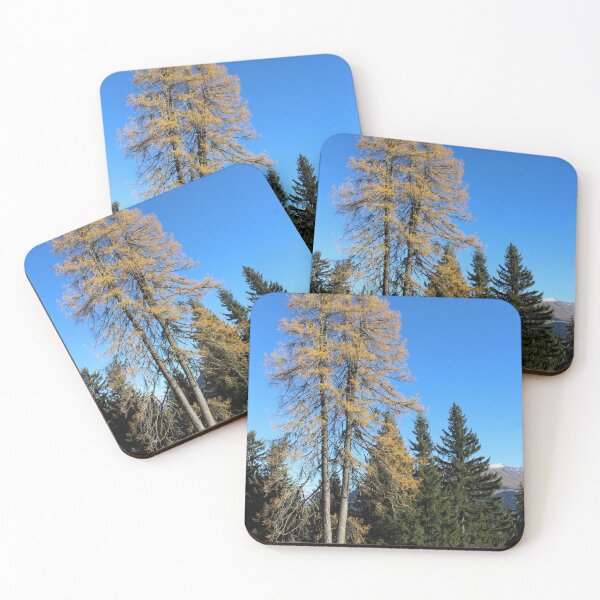 Item preview,  Brambrüesch, forest in autumn designed and sold by graubuendner.