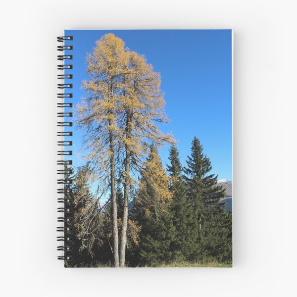 Item preview, Brambrüesch, forest in autumn designed and sold by graubuendner.
