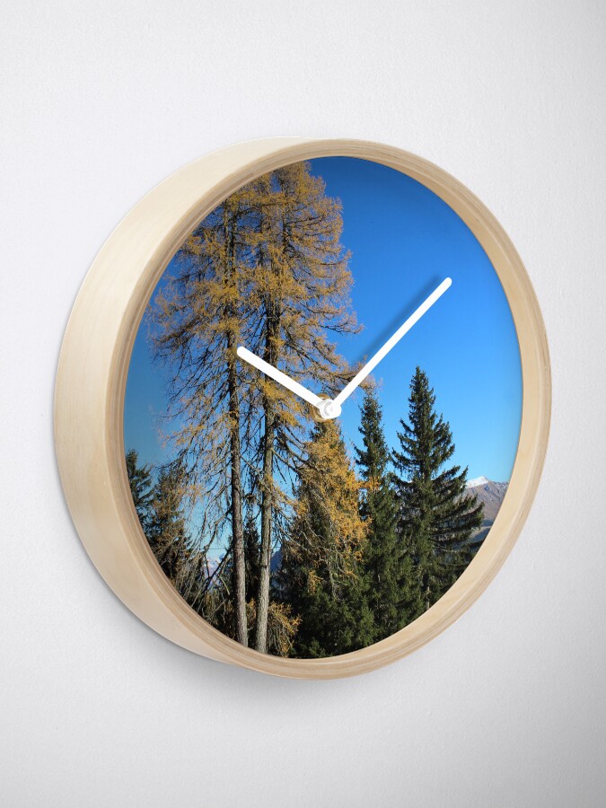 Alternative Ansicht von Brambrüesch, Wald im Herbst Uhr