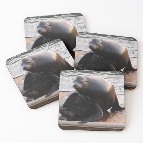Item preview, Sea Lion at Pier 39, San Francisco designed and sold by JeanKellyPhoto.