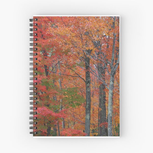 Item preview, Fall  designed and sold by BarbaraWilliams.