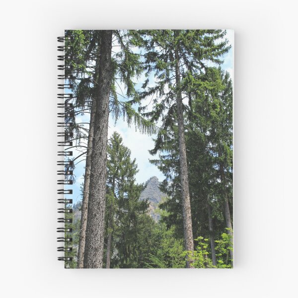 Item preview, Chur, Bündner Wald, Fürstenwald designed and sold by graubuendner.