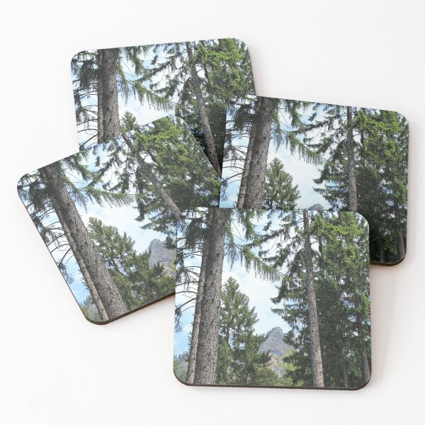 Item preview,  Chur, Bündner Wald, Fürstenwald designed and sold by graubuendner.
