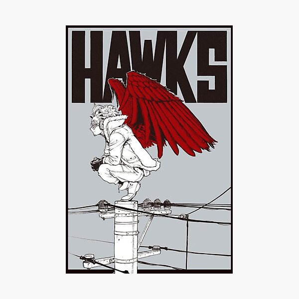 Hawks Photographic Print