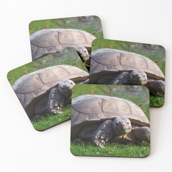 Item preview, Tortoise designed and sold by JeanKellyPhoto.