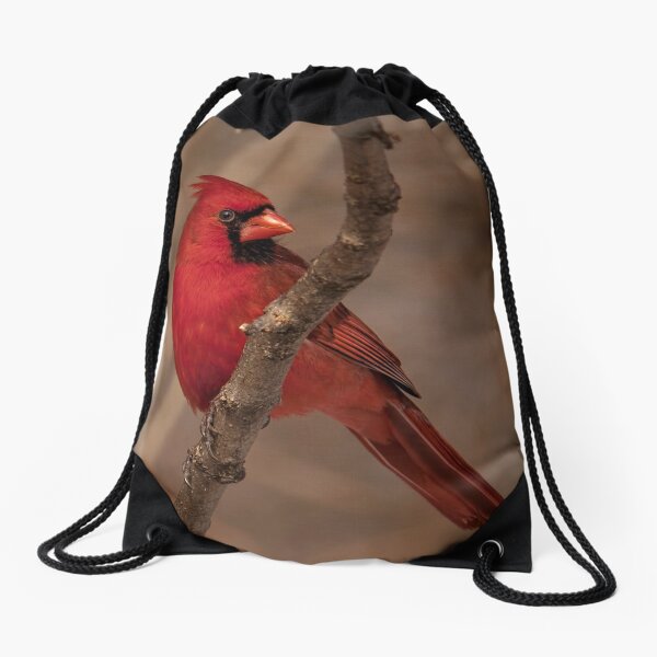 Sunbathe Drawstring Bag
