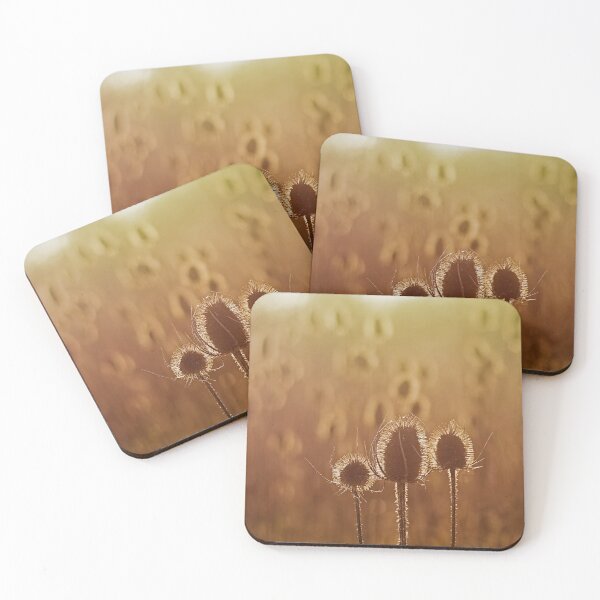 Item preview, Teasle seedpods in the evening sulnight designed and sold by xophotography.