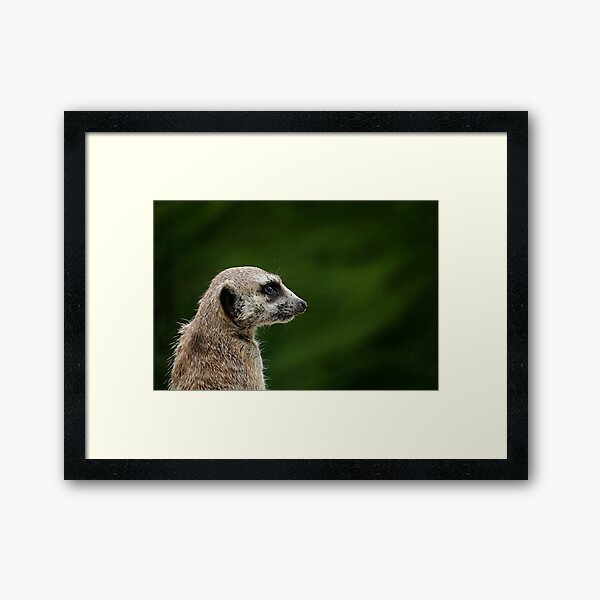 The Feelin' that someone's watching you Framed Art Print