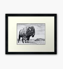 Westward Stance Framed Print