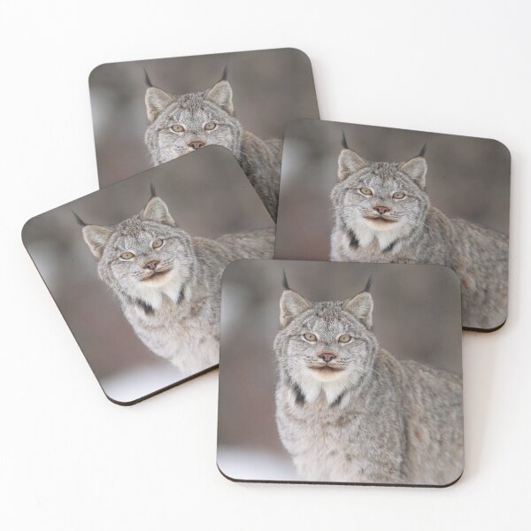 Item preview, Canada Lynx designed and sold by mlorenz.