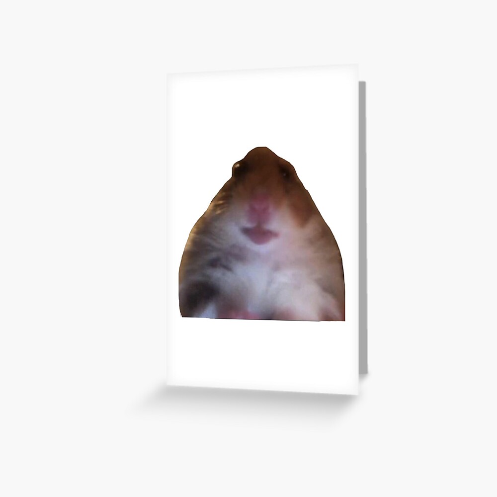 "staring Hamster Meme" Greeting Card For Sale By Brig506 | Redbubble