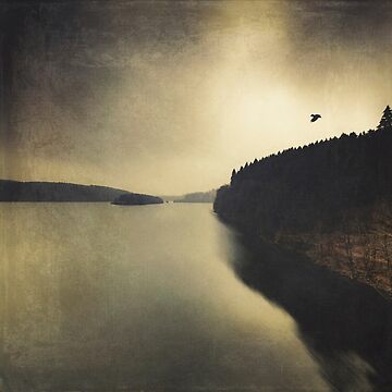 Artwork thumbnail, Quiet Lake by Dyrk Wyst Redbubble Shop