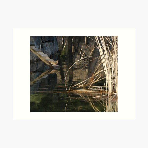 Reflecting Pool Art Print