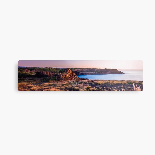 Untitled Metal Print