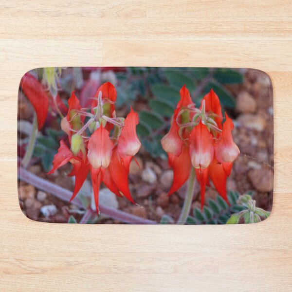 Item preview, Sturt's Desert Pea (pale centre), Australia designed and sold by FranWest.