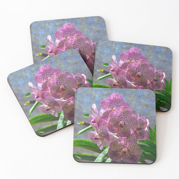 Item preview, Orchids designed and sold by fnq-photography.