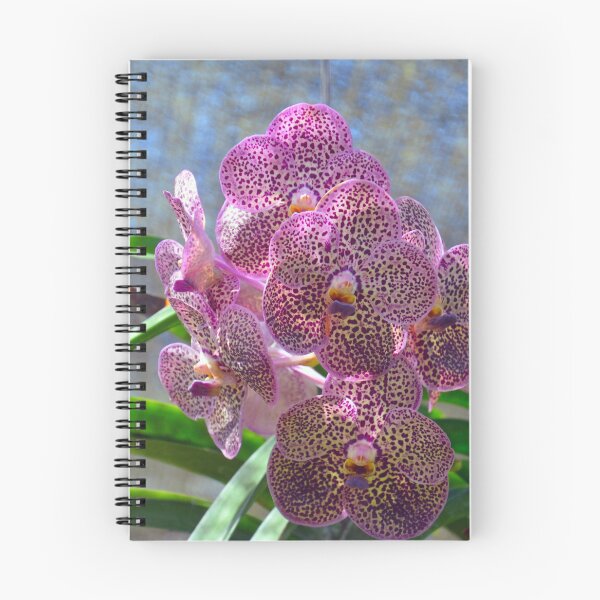 Item preview, Orchids designed and sold by fnq-photography.
