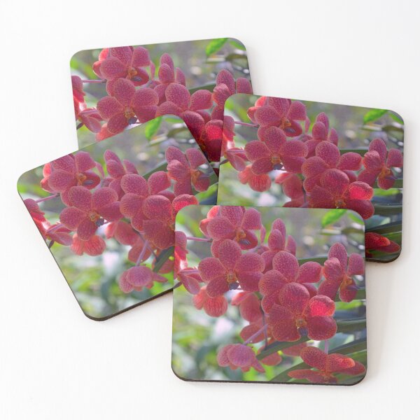 Item preview, Bali Orchid designed and sold by fnq-photography.