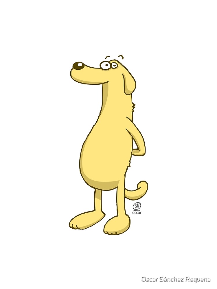 Nice dog looking at you by oscarsanchez