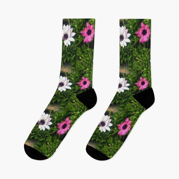 Item preview, African Daisies designed and sold by ZelosEyes.