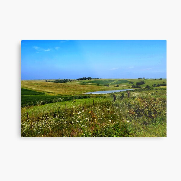 Iowa Farmland on a Summer Afternoon Metal Print