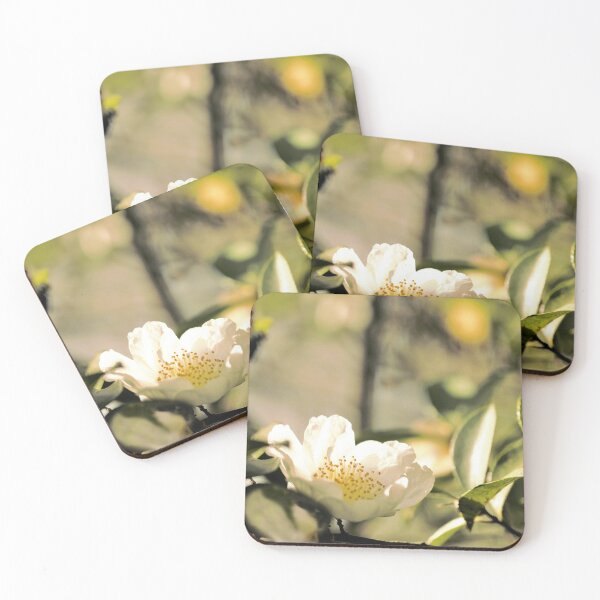 Item preview, Sunlit White Camelia designed and sold by imaginethis.