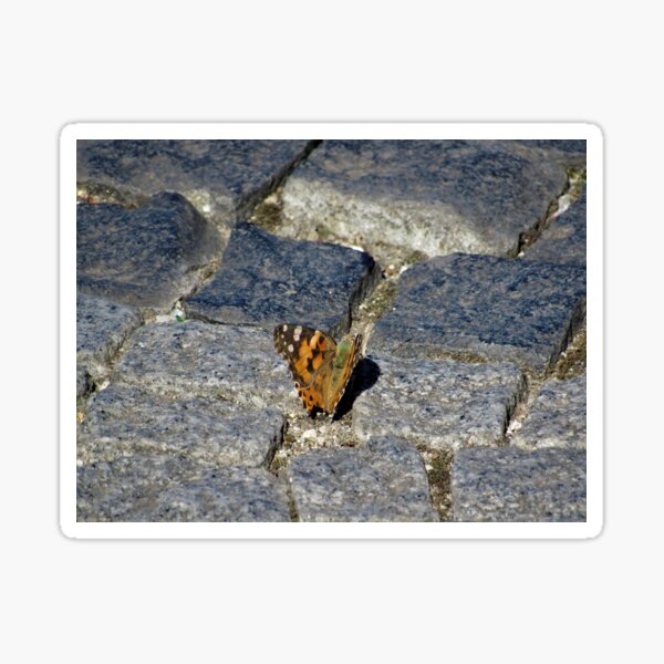 Painted Lady On Stones Sticker